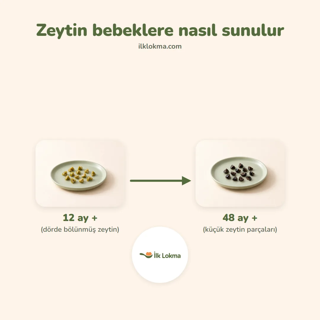 Zeytin yaşa göre nasıl sunulur